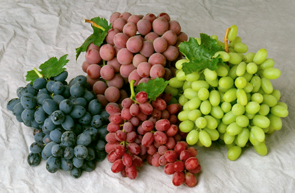 14 Manfaat Anggur Bagi Ibu Hamil dan Janin yang Sehat ...