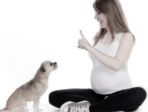 larangan ibu hamil - memelihara binatang