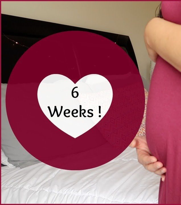 kehamilan 6 minggu yang sehat