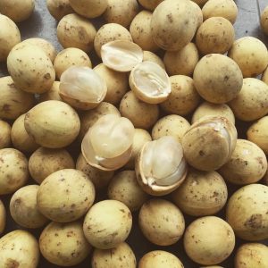 bolehkah ibu hamil makan buah duku